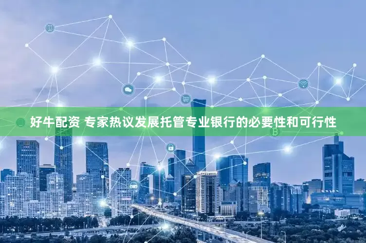 好牛配资 专家热议发展托管专业银行的必要性和可行性